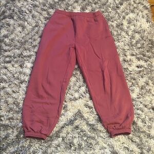 Aritzia Sweatpants
